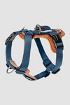 Leather H Harness