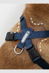 Pattern Pro X Harness