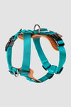 Leather H Harness