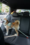2-in-1 Car Belt and Leash