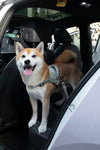 2-in-1 Car Belt and Leash