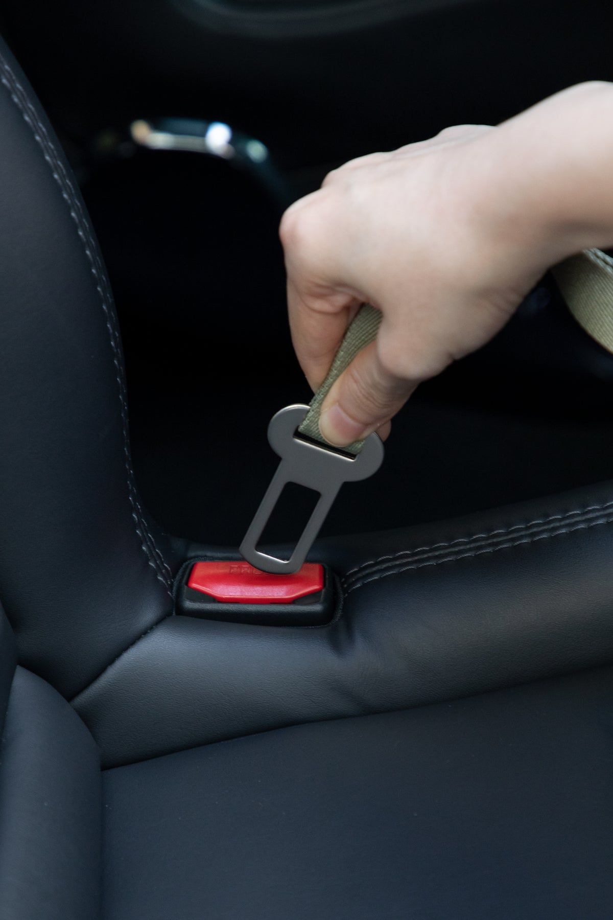 2-in-1 Car Belt and Leash