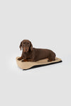 2-in-1 Dog Carrier and Blanket Baguette
