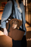 2-in-1 Dog Carrier and Blanket Baguette