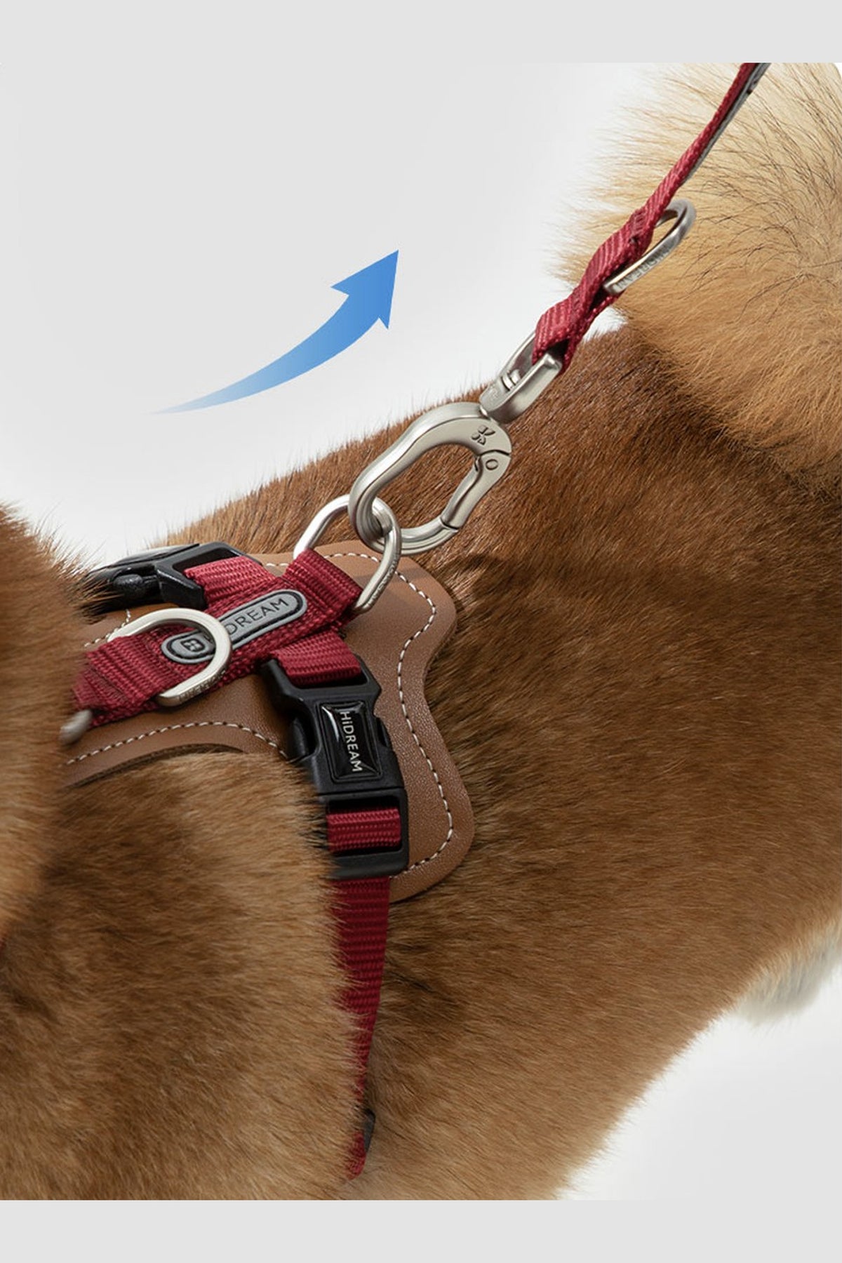 Leather H Harness