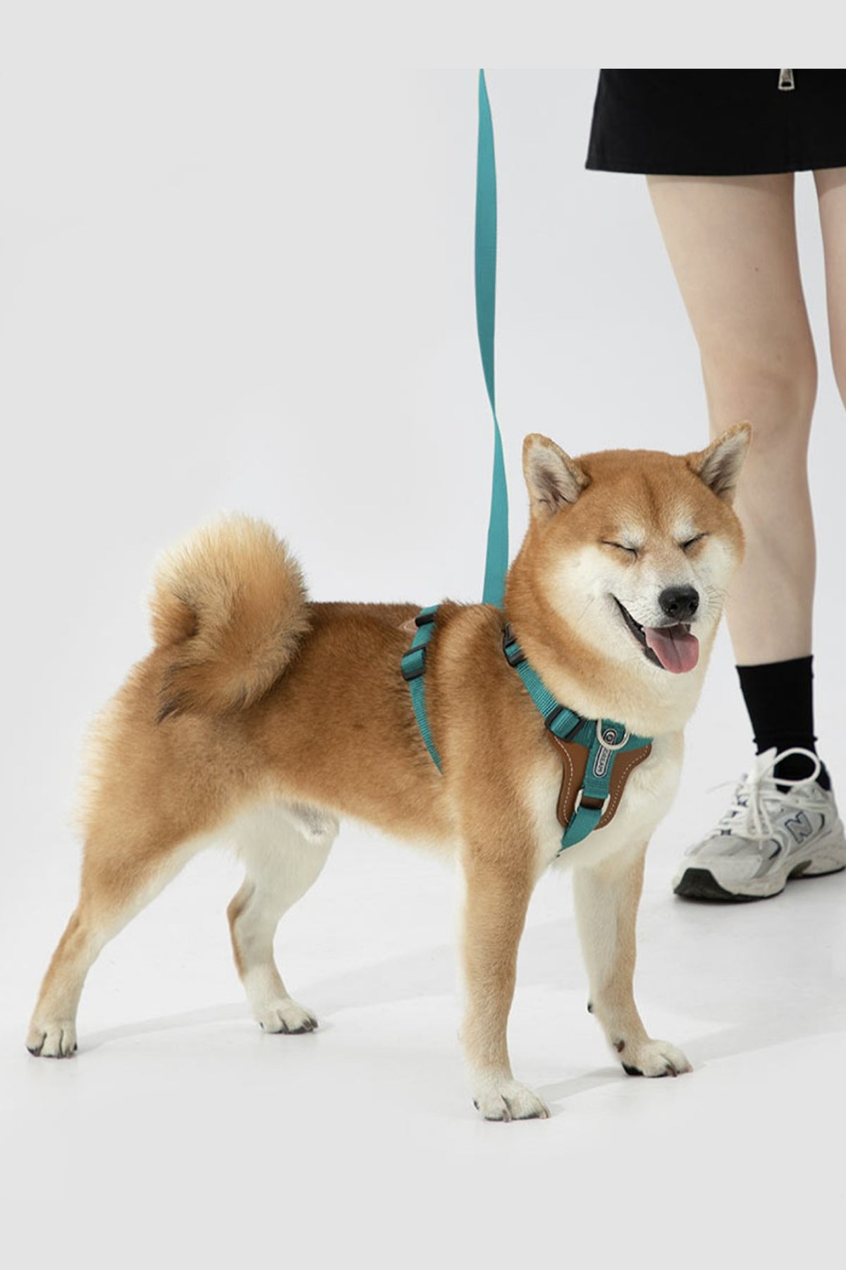Leather H Harness