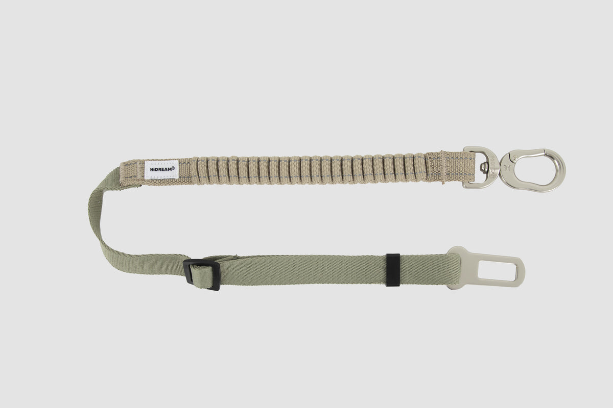 2-in-1 Car Belt and Leash